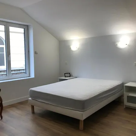 Le Petit Faure - Face Aux Thermes - Calme - Parking Gratuit Vichy Exterior foto