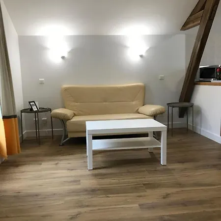 Le Petit Faure - Face Aux Thermes - Calme - Parking Gratuit Vichy Exterior foto